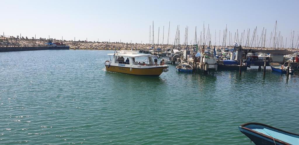 Rotem Suite In Marina Ashklon Ashkelon Bagian luar foto